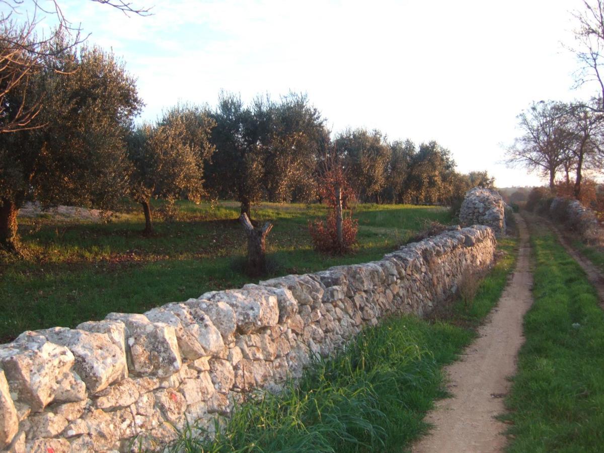 Trullisia Bed And Breakfast Alberobello Exterior photo