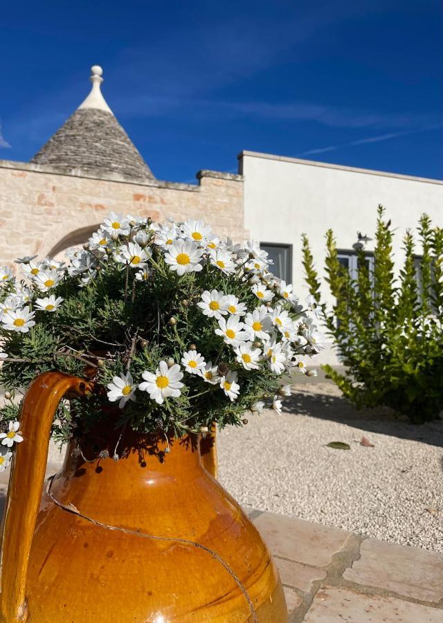 Trullisia Bed And Breakfast Alberobello Exterior photo